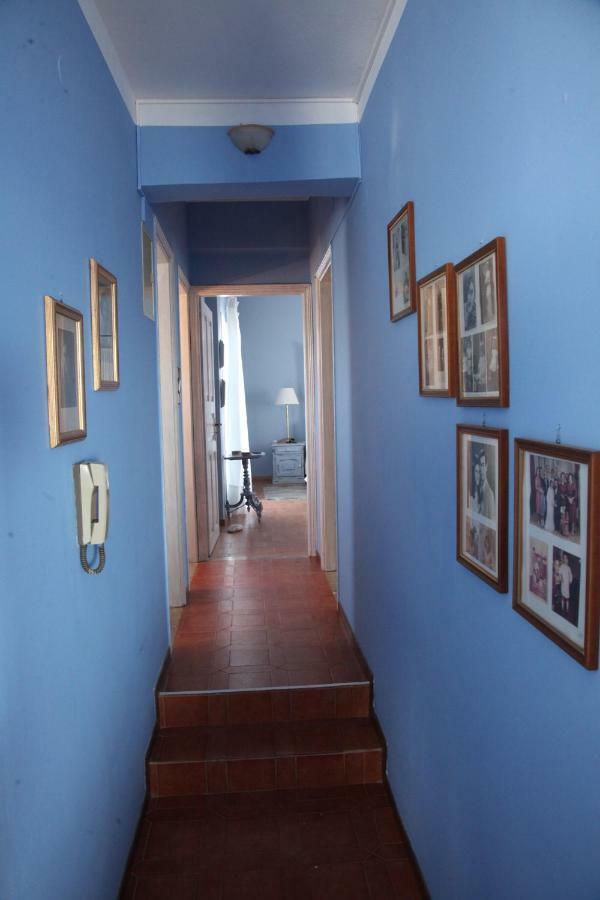 The Collector'S Home ฟินิกัส ภายนอก รูปภาพ